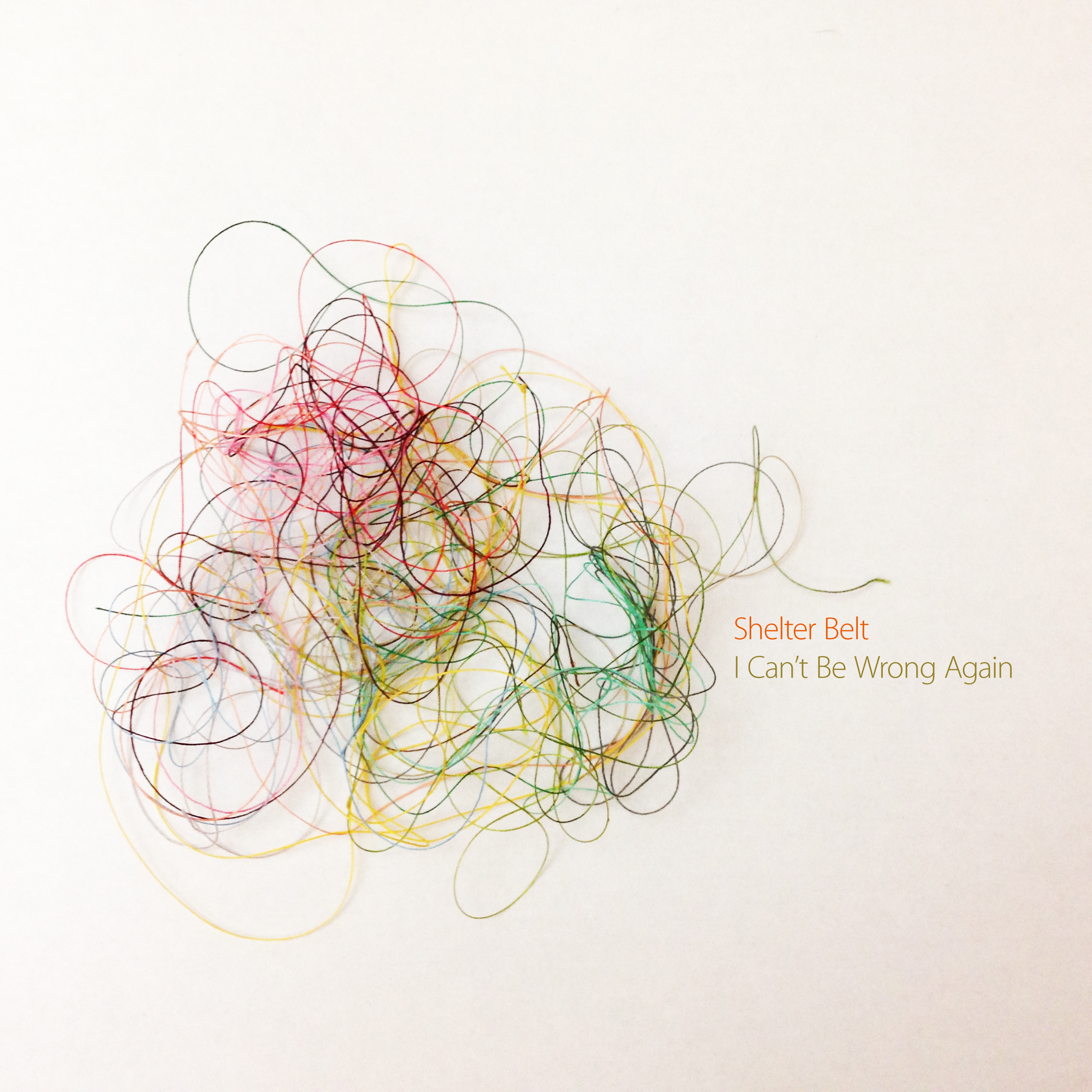 I Can't Be Wrong Again